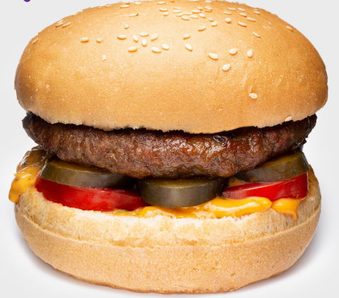 اکو برگر(شرکتی)